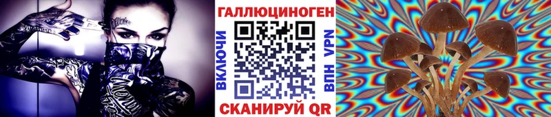 Галлюциногенные грибы мухоморы  где купить наркотик  Егорьевск 