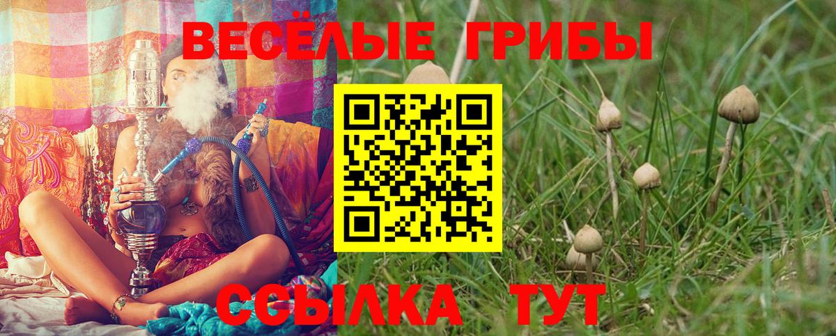 Галлюциногенные грибы Psilocybine cubensis  Вход с VPN  Егорьевск 