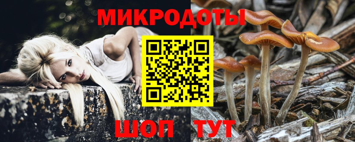 Псилоцибиновые грибы Psilocybe Егорьевск